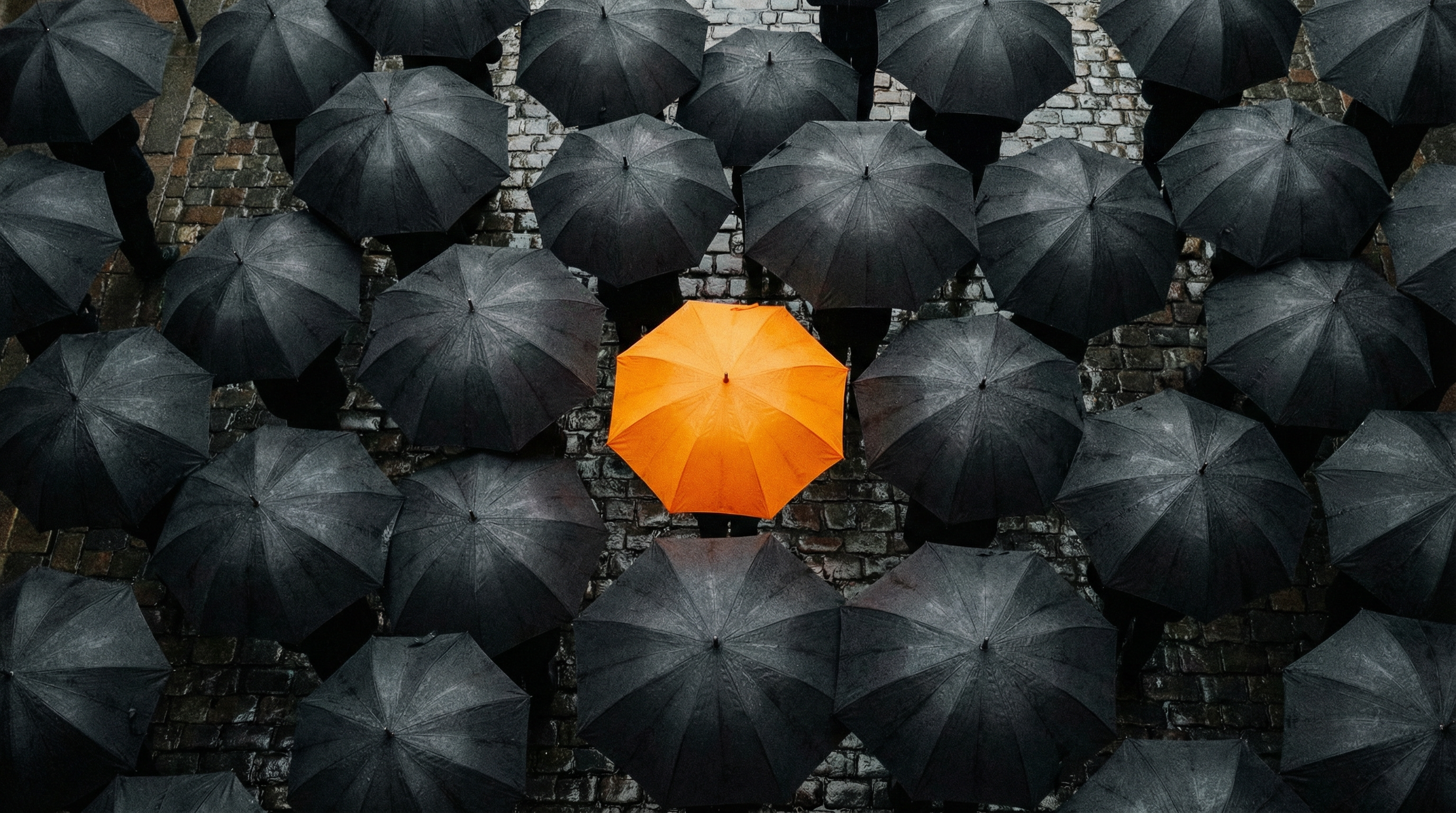 Posicionamento de Marca